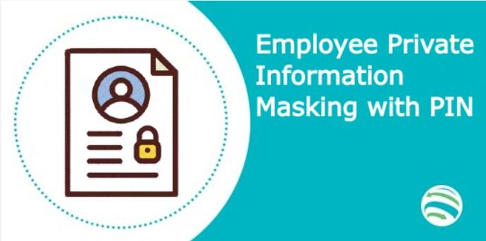 Employee Private Information Masking with PIN in Odoo ($25.31)